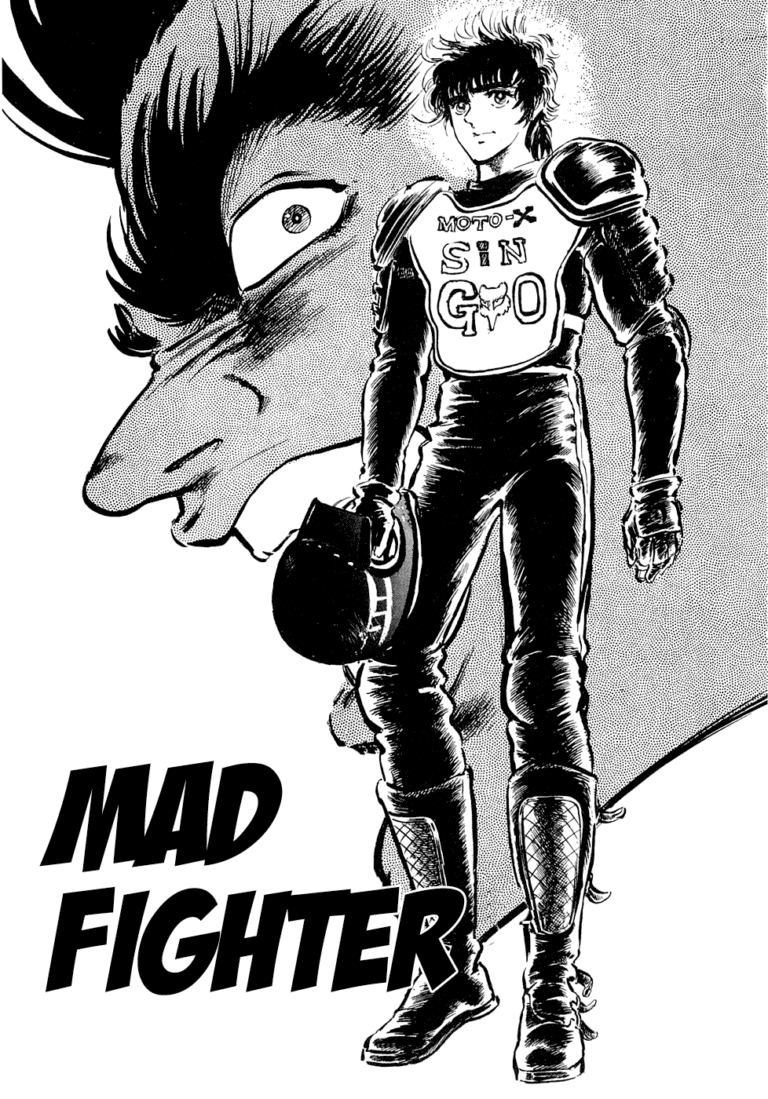 Mad Fighter