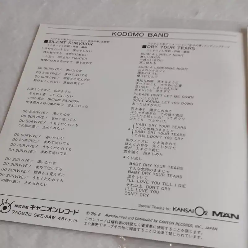 SILENT SURVIVOR / DRY YOUR TEARS