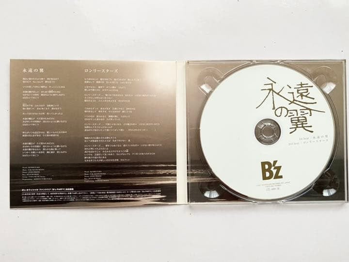 Eien no Tsubasa